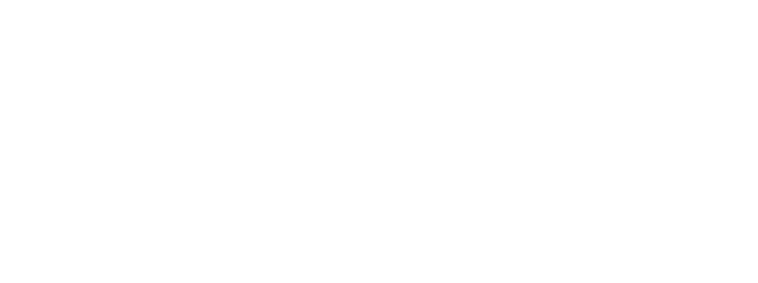 Seen in Ibiza logo